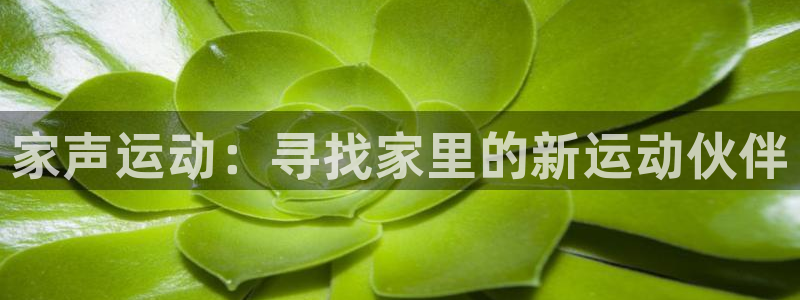 fb体育招商：家声运动：寻找家里的新运动伙伴