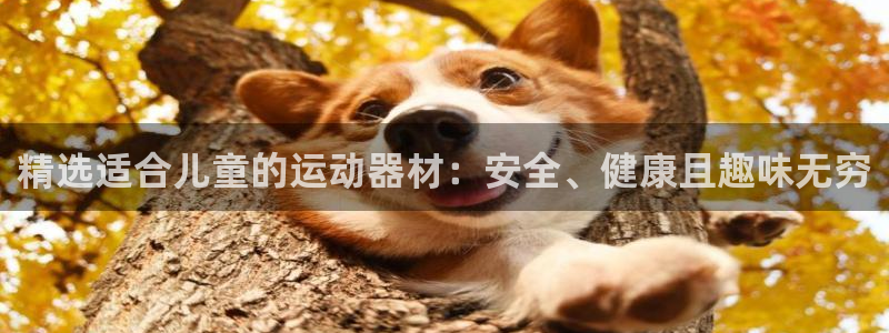 fb体育平台APP：精选适合儿童的运动器材：安全、健