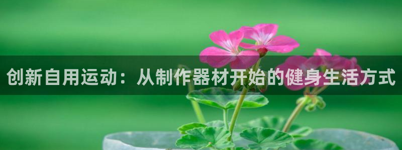 fb体育招商电话地址是多少：创新自用运动：从制作器材