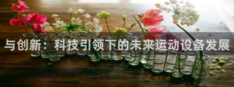 fb体育招商电话号码查询：与创新：科技引领下的未来运