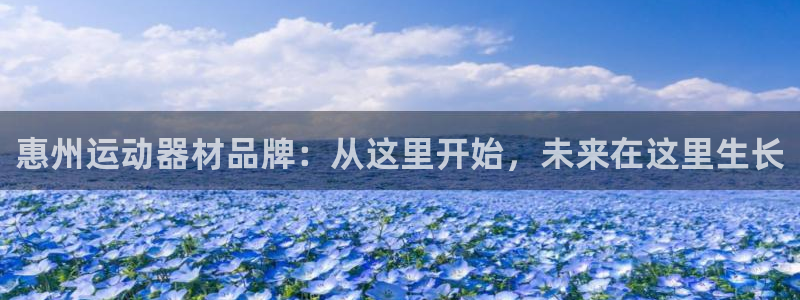 fb体育娱乐首页官网下载：惠州运动器材品牌：从这里开