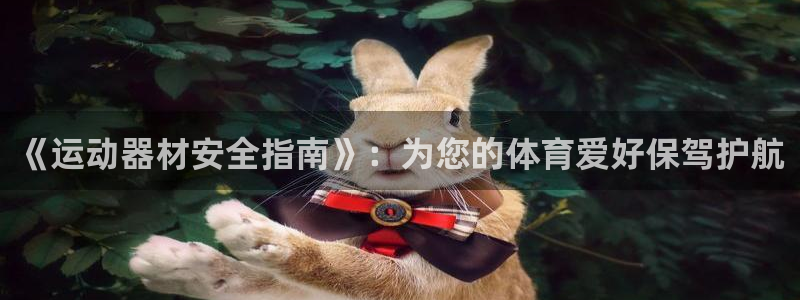 fb体育娱乐：《运动器材安全指南》：为您的体育爱好保