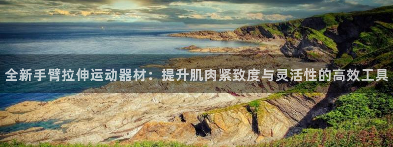 fb体育集团E.ON：全新手臂拉伸运动器材：提升肌肉紧致度与