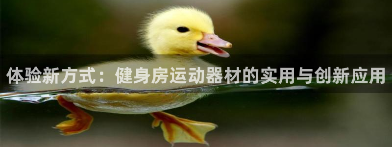 fb体育集团官网网址：体验新方式：健身房运动器材的实