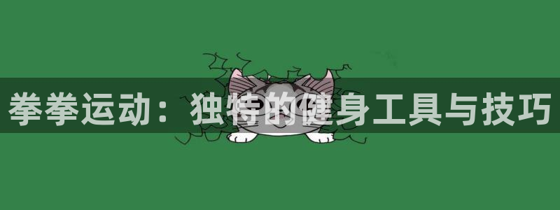fb体育新能源：拳拳运动：独特的健身工具与技巧