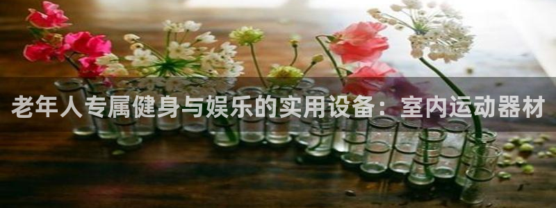 fb体育注册：老年人专属健身与娱乐的实用设备：室内运