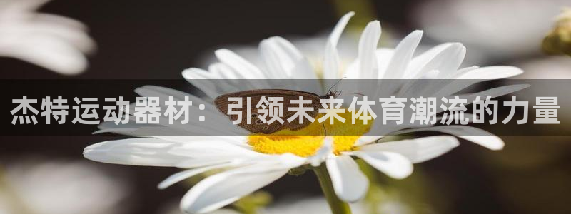 fb体育代理：杰特运动器材：引领未来体育潮流的力量