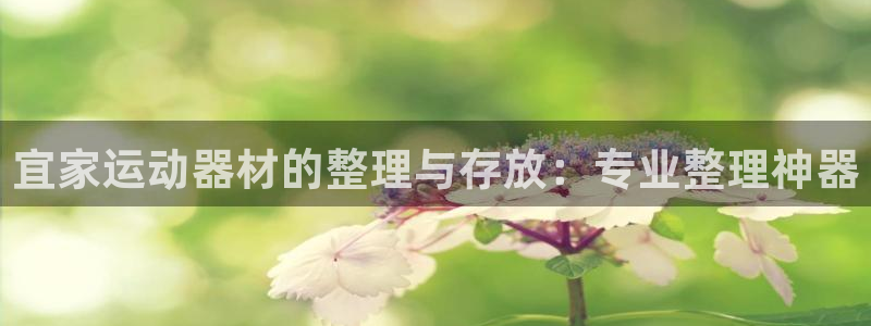 fb体育招商电话号码