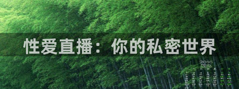9255tv直播无插件nba：性爱直播：你的私密世界