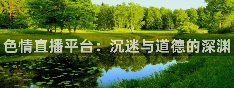 9255tv直播无插件nba：色情直播平台：沉迷与道德的深渊