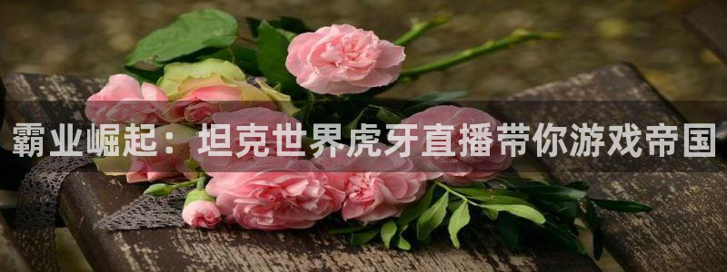 9255tv直播nba在线直播：霸业崛起：坦克世界虎牙直播带你游戏帝国