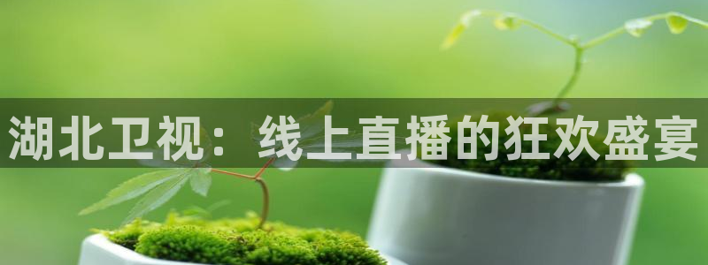 9255tv直播无插件nba：湖北卫视：线上直播的狂欢盛宴