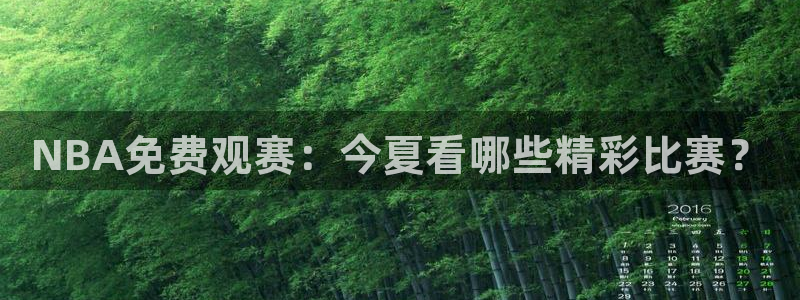 9255tv直播nba在线直播：NBA免费观赛：今夏看哪些精彩比赛？