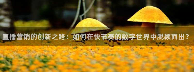 9255tv直播无插件nba：直播营销的创新之路：如何在快节奏的数字世界中脱颖而出？