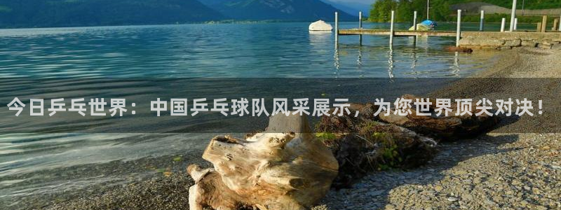 9255tv直播无插件nba：今日乒乓世界：中国乒乓球队风采展示，为您世界顶尖对决！