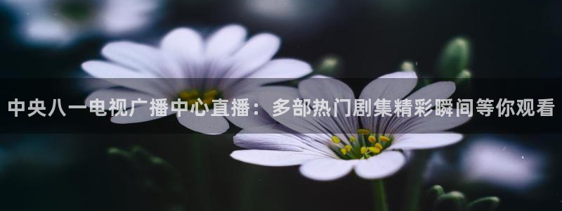 9255tv直播nba在线直播：中央八一电视广播中心直播：多部热门剧集精彩瞬间等你观看